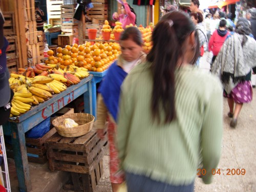 Mexico Avril 2009 258.jpg